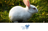 Ostern 07
