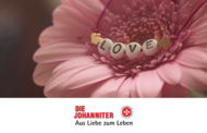 Liebe 11
