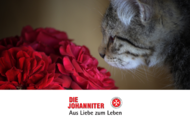 Valentinstag 09