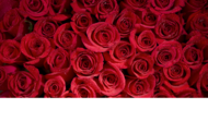 Valentinstag 03