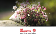 Liebe 04