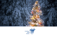 Weihnachten 06