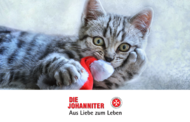 Weihnachten 08