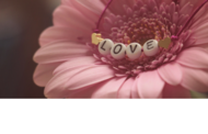 Liebe 11