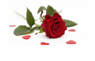 Valentinstag 01