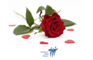 Valentinstag 01