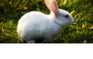 Ostern 07
