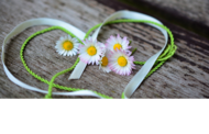 Liebe 01