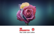 Liebe 12