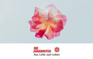 Liebe 03